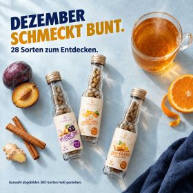 TEABALLS Sorten mit Tee, Früchten und Gewürzen